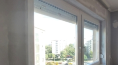 20210901_155232_közeli